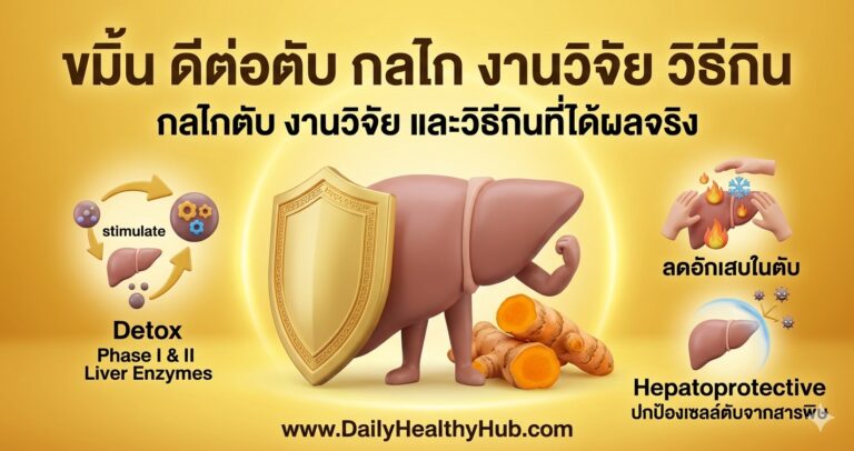 ขมิ้นดีต่อตับ กลไกตับ งานวิจัย และวิธีกินที่ได้ผลจริง