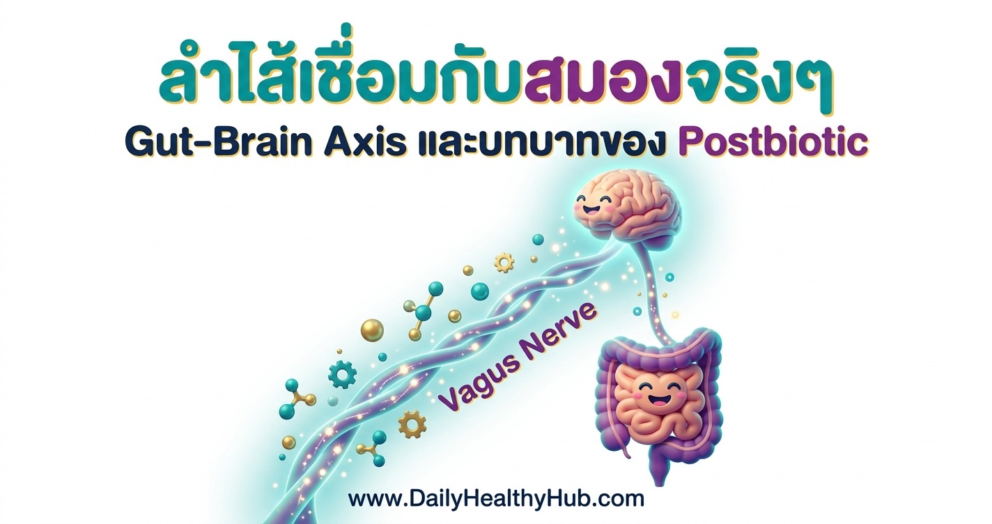 ลำไส้เชื่อมกับสมองจริงๆ-Gut-Brain-Axis-และบทบาทของ-Postbiotic.