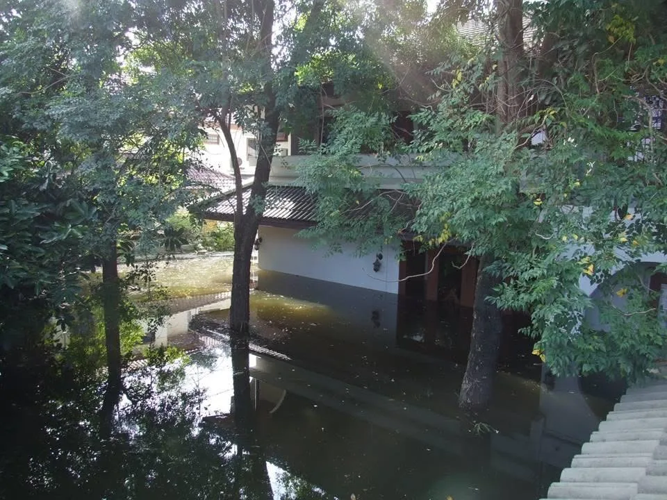 บ้านในหมู่บ้านรังสิตที่ถูกน้ำท่วมล้อมรอบต้นไม้ ปี 2554